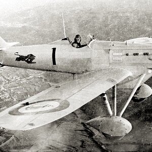 Dewoitine D.501