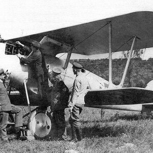 Pfalz D.III