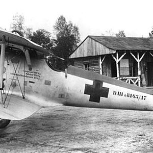 Pfalz D.IIIa no. 8143/17