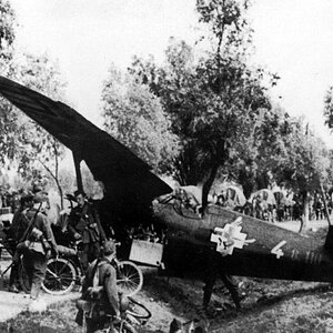 PZL P-11c 'Blue 4" s/n 8.110 of the 152th FS, 1939 (4)