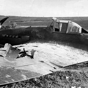 Il-2 a single-seater shot down.