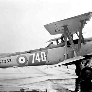 Blackburn Shark K4352