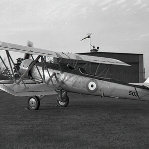 Blackburn Shark 503 (2)
