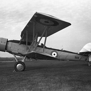 Blackburn Shark 503 (1)