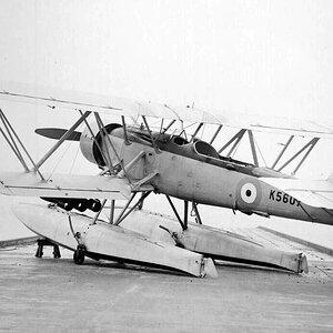 Blackburn Shark Mk.II K5607 (2)