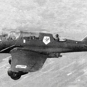 PZL 23B Karaś "White 6" s/n. 44.214 , underwing no. T- 05, 41 Squadron, 1938 (1)