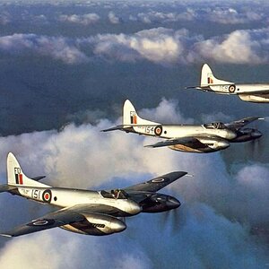 De Havilland DH-103 Hornet in colour (1)