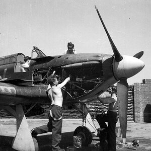 The maintenace of the Hurricane Mk.I  JH-R of no.317 (Polish) Squadron, Acklington, 1941