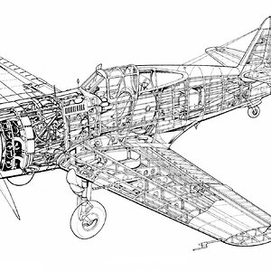 Curtiss Hawk 75A-7