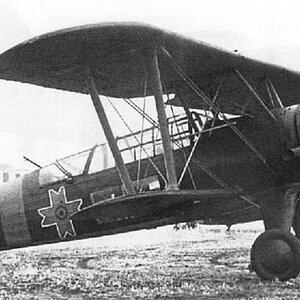 IAR 39, White 20