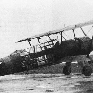 IAR 39, White 12