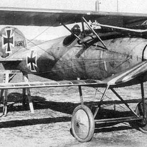 Albatros D.V no. D4563/17 of Jasta 10, 1917