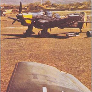 Ju-87 at rest.