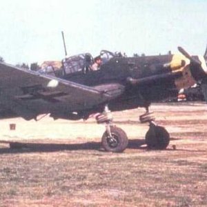 Ju-87 just after capture