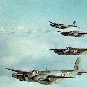 Mosquito, formation