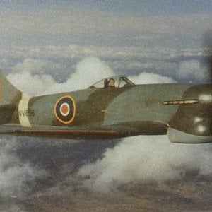 Hawker Tempest Mk.V Series II