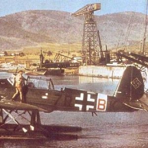 Arado Ar 196A-2 or -4