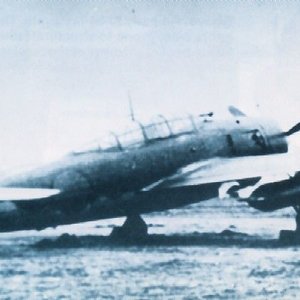 Yokosuka D4Y3 Susei Model 33