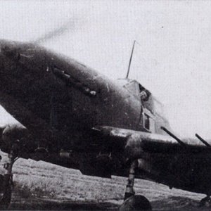 Ilyushin Il-2m3