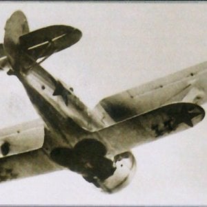 Polikarpov I-153