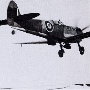 Supermarine Seafire L.Mk.III