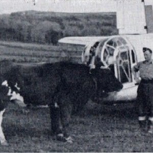 Vickers Wellington GR.Mk.XIV