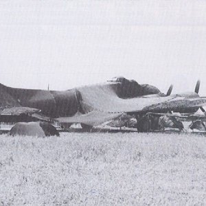 Boeing B-17F-BO Flying Fortress