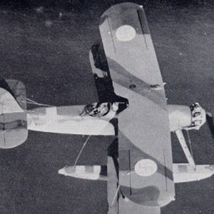 VL-(Blackburn) Ripon Mk.11F