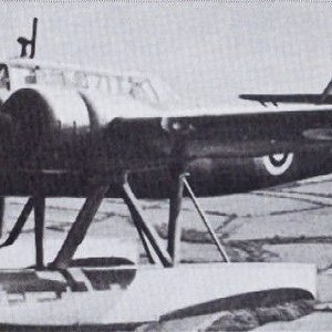 Fokker T.VIIIW