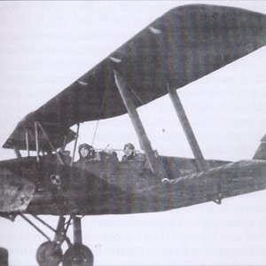 de Havilland Tiger Mk.I/II