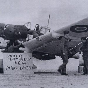 Junkers Ju 87D