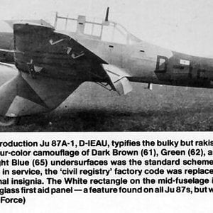JU87A-1 D-IEAU