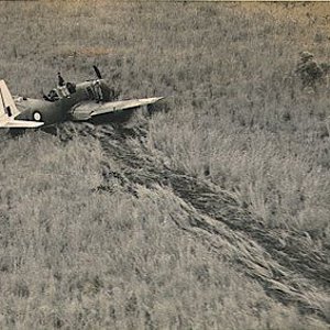 RAAF 24 Sqn Vultee Vengeance crashed in New Guinea, 1944 (3)