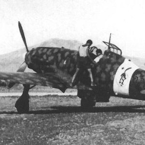 Macchi MC.202 Folgore, 378 Squadriglia, Italy 1942
