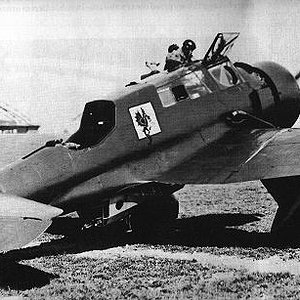 PZL 23 Karaś II "White 1", 22 Squadron, 1938