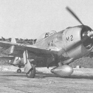 Number two of three YP-47M development aircraft (P-47D-27-RE).