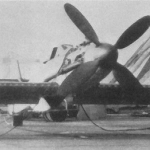Blohm und Voss BV 155V1