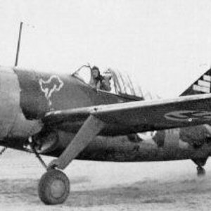 BW-393 of Finnish Air Force 1943