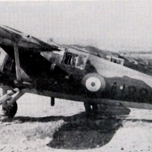 PZL P.24F