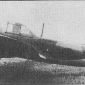 Ilyushin Il-2