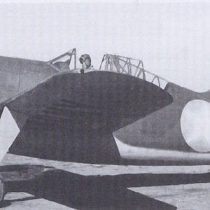 Brewster B-339D