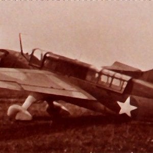 Curtiss Seamew Mk.1