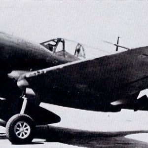 Curtiss P-40N-5 Warhawk