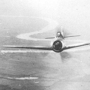 Fw-190 in flight