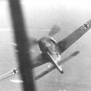 Fw-190 in flight II