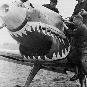 Me-109 with tiger mouth ???