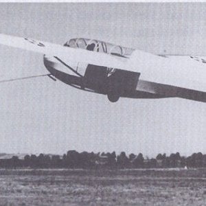 Schweizer LNS-1