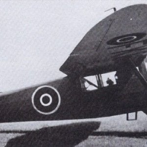 Stinson Reliant