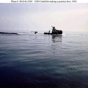 USS Cuttlesfish