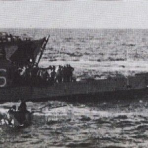 HMS Shark -3